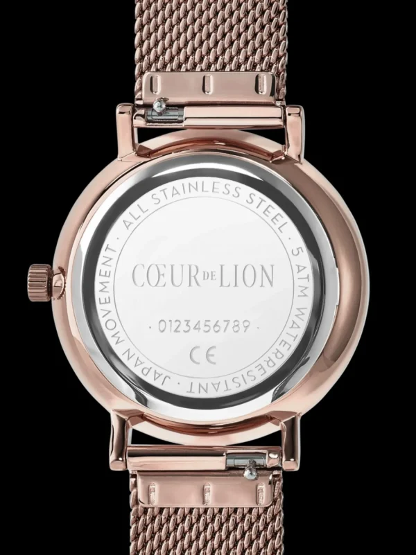 Watch Round Champagne Sunray Milanese Stainless Steel Champagne | COEUR DE LION Sale